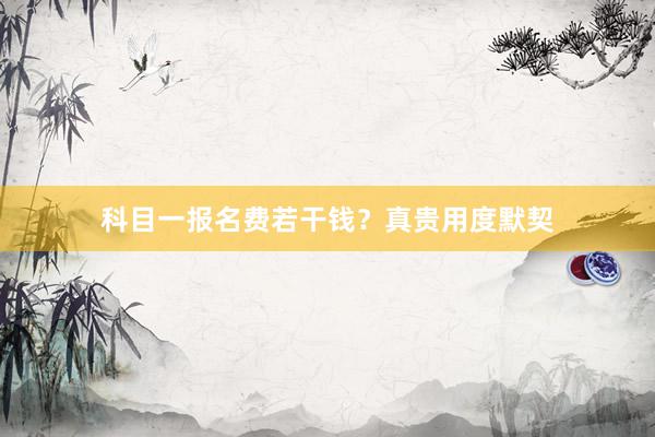 科目一报名费若干钱？真贵用度默契