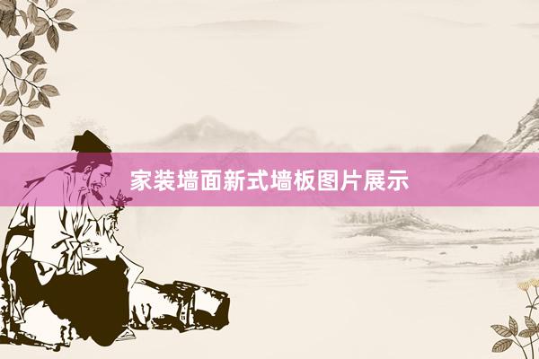 家装墙面新式墙板图片展示